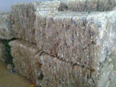 Plastic Pet Bottle Scrap